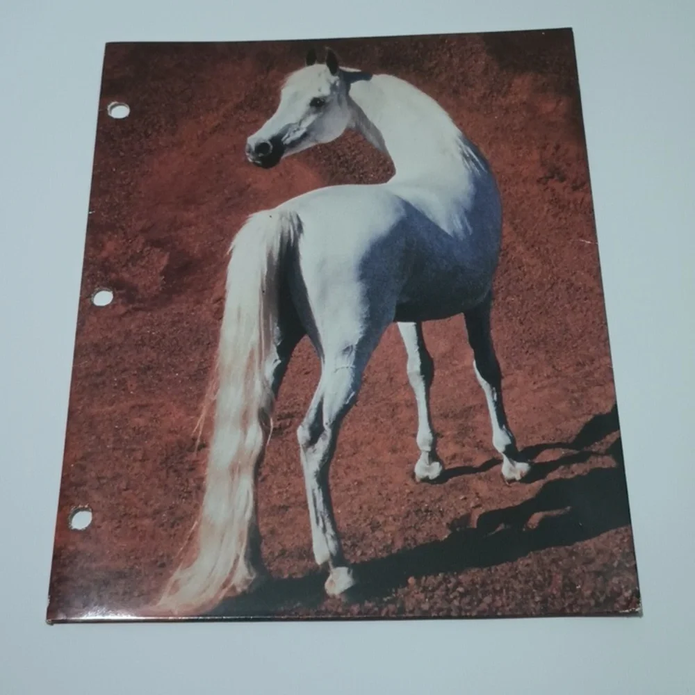 5/$15 VTG Mead Folder White Horse 3 Ring